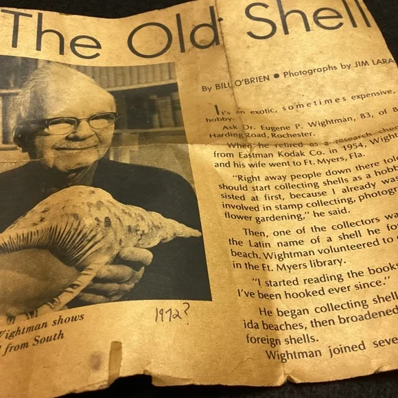 Rare XL Vintage Florida SEA SHELL. HISTORY ARTICLE TOO HELMET SHELL OLD !!! - Picture 9 of 11